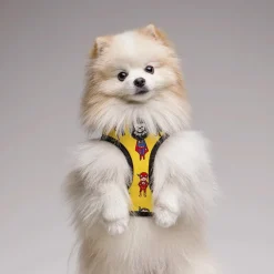 Dukier Superdog Arnés Reversible Estampado Superhéroes para perros