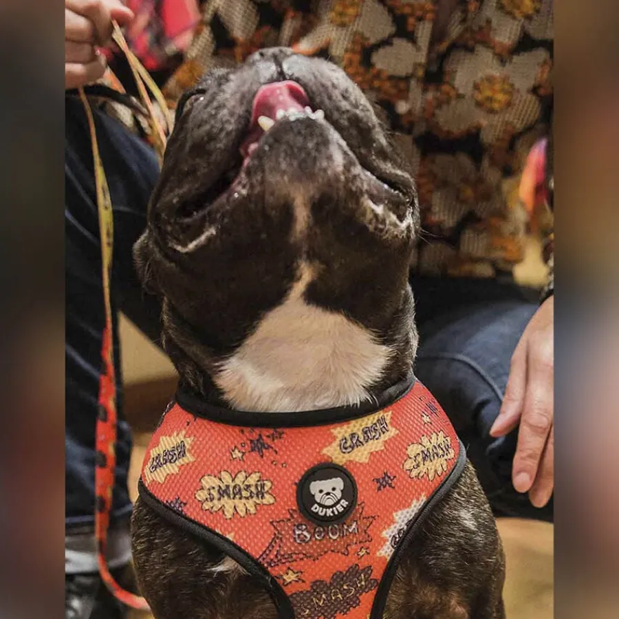 Dukier Superdog Arnés Reversible Estampado Superhéroes para perros