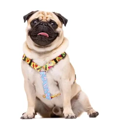 Dukier Sweets Arnés Clásico para perros Discount