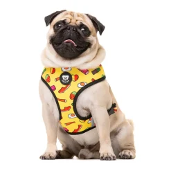 Dukier Sweets Arnés reversible para perros Clearance