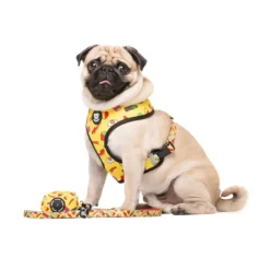 Dukier Sweets correa para perros Best