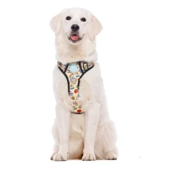 Dukier Tattoo Arnés Trail para perros Best