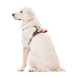 Dukier Tattoo Arnés Trail para perros Best