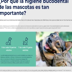 Ecuphar Plaqtiv+ Toallitas Dentales para perros y gatos Discount