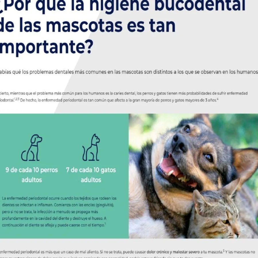 Ecuphar Plaqtiv+ Toallitas Dentales para perros y gatos Discount