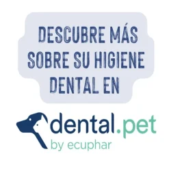 Ecuphar Plaqtiv+ Toallitas Dentales para perros y gatos Discount