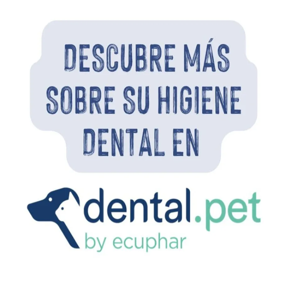 Ecuphar Plaqtiv+ Toallitas Dentales para perros y gatos Discount