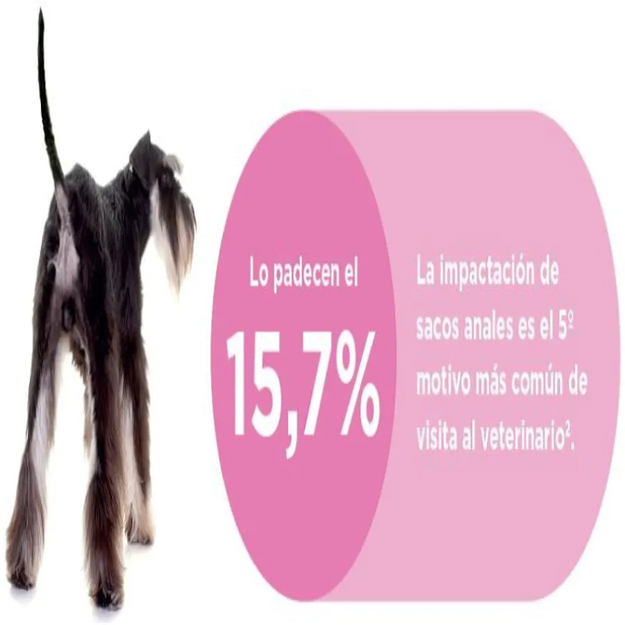 Ecuphar Proglan Suplemento para perros Outlet