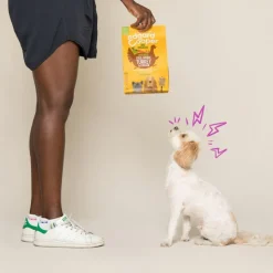 Edgard & Cooper Adult Bio Pavo pienso para perros Best