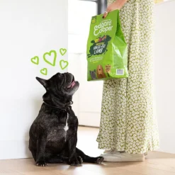 Edgard & Cooper Adult Cordero pienso para perros Clearance