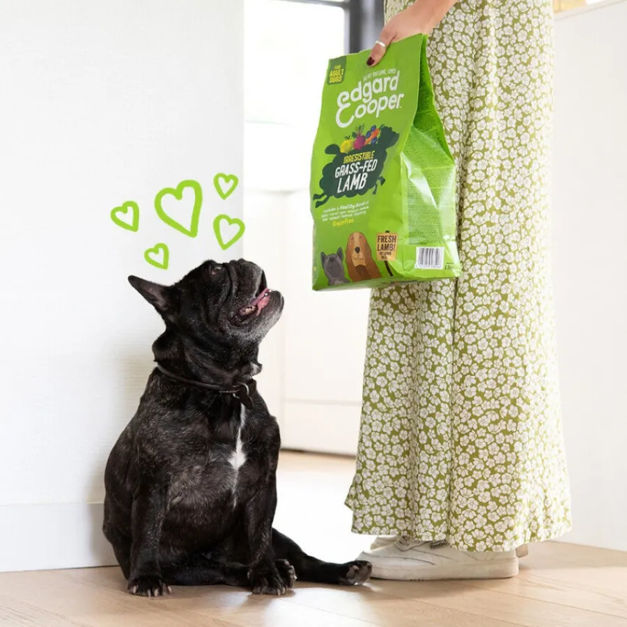 Edgard & Cooper Adult Cordero pienso para perros Clearance