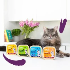 Edgard & Cooper Adult Pavo y Pollo en Paté tarrina para gatos Sale