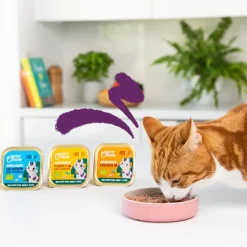 Edgard & Cooper Adult Pavo y Pollo Ecológico en Paté tarrina para gatos Discount