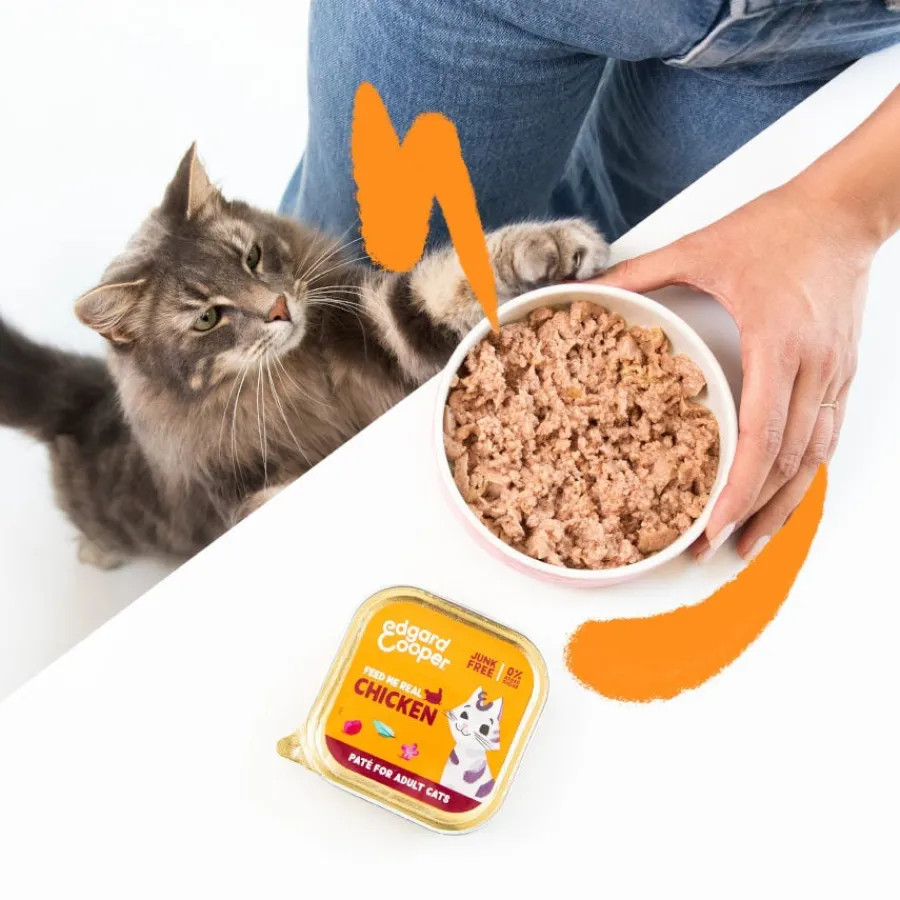 Edgard & Cooper Adult Pollo en Paté tarrina para gatos New