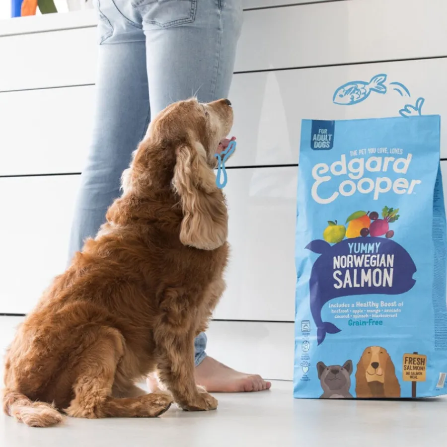 Edgard & Cooper Adult Salmón pienso para perros Hot