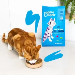 Edgard & Cooper Adult Salmón pienso para gatos