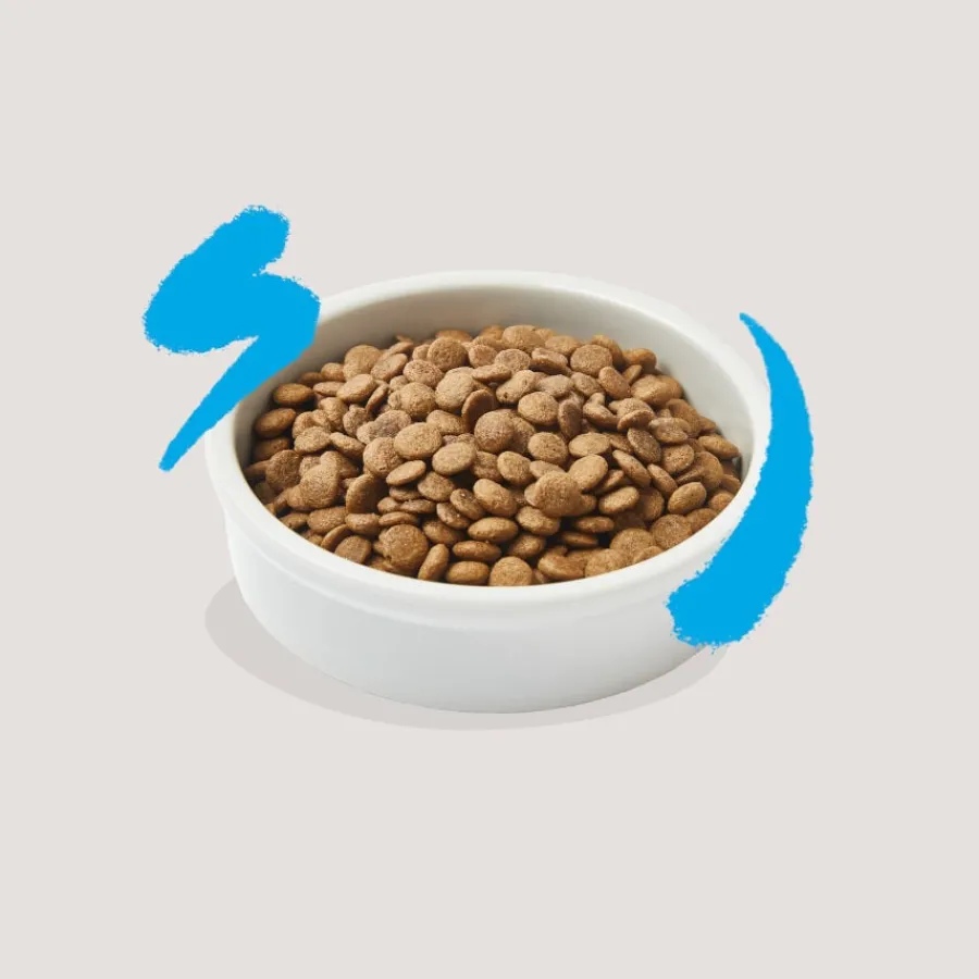 Edgard & Cooper Adult Salmón pienso para gatos