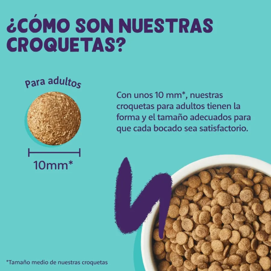 Edgard & Cooper Adult Salmón pienso para gatos