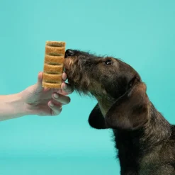 Edgard & Cooper Barritas de Pavo para perros Online