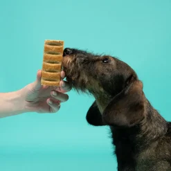 Edgard & Cooper Barritas de Manzana y Arándanos snack para perros Best