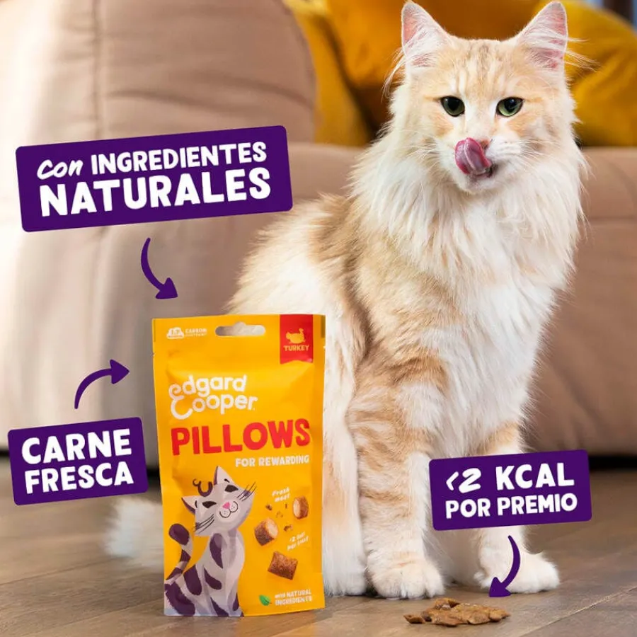 Edgard & Cooper Bocaditos Pillows Pavo para gatos Sale