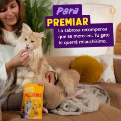 Edgard & Cooper Bocaditos Pillows Pavo para gatos Sale