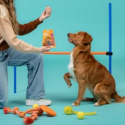 Edgard & Cooper Bocaditos Grandes de Salmón y Pollo snack para perros New
