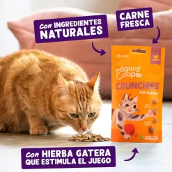 Edgard & Cooper Galletas Crunchies Pollo para gatos Outlet