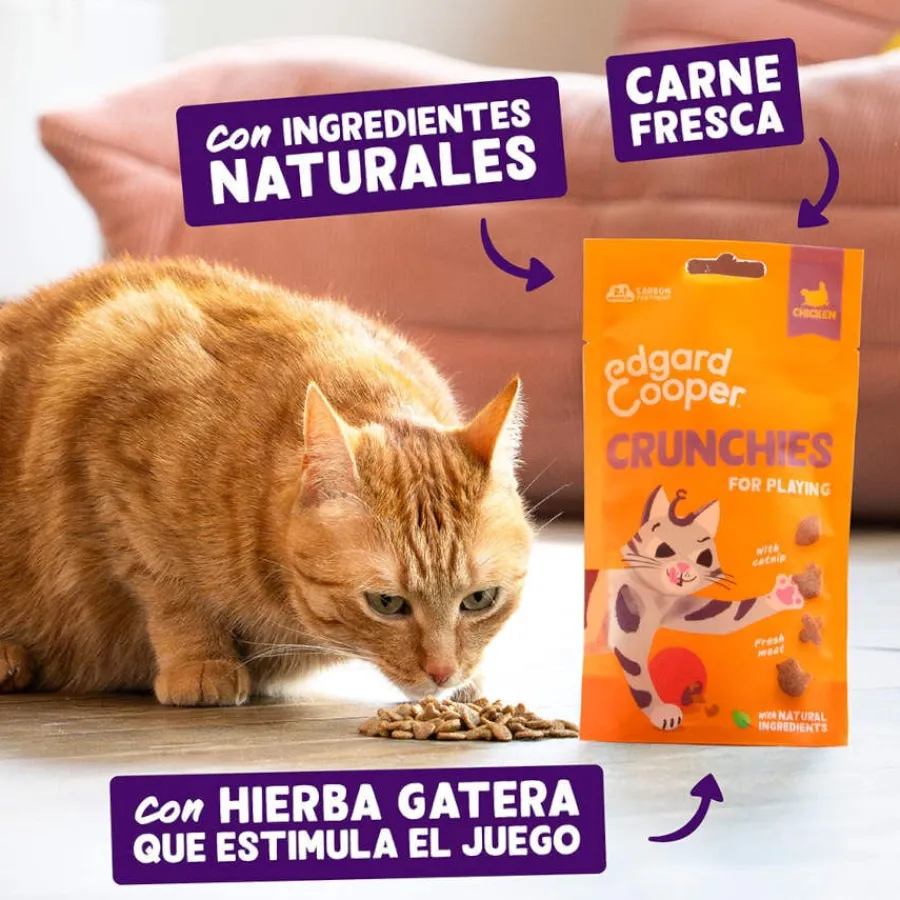 Edgard & Cooper Galletas Crunchies Pollo para gatos Outlet