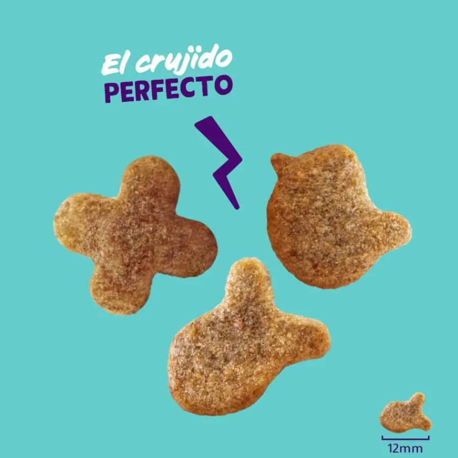 Edgard & Cooper Galletas Crunchies Salmon para gatos Online