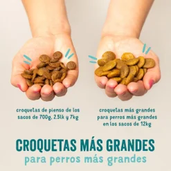 Edgard & Cooper Remolacha y Calabaza pienso para perros Online