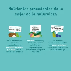 Edgard & Cooper Zanahoria y Calabacín pienso para perros Clearance