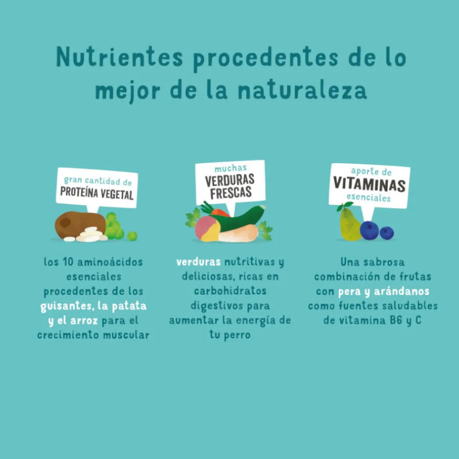Edgard & Cooper Zanahoria y Calabacín pienso para perros Clearance