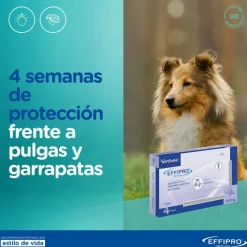 Virbac Effipro pipetas antiparásitos perros 40-60 kg Best