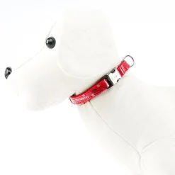 Envy Wild Forever Collar Rojo para perros Sale