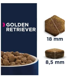 Eukanuba Adult Golden Retrievers pienso para perros Best