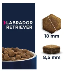 Eukanuba Adult Labrador Retriever pienso para perros New