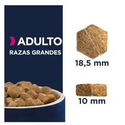 Eukanuba Adult Large Pollo pienso para perros Online