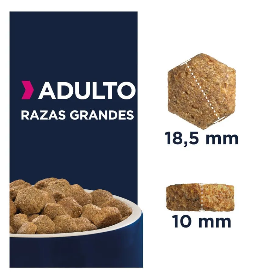 Eukanuba Adult Large Pollo pienso para perros Online
