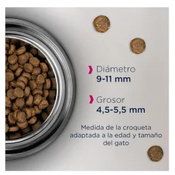 Eukanuba Adult Pollo pienso para gatos Best