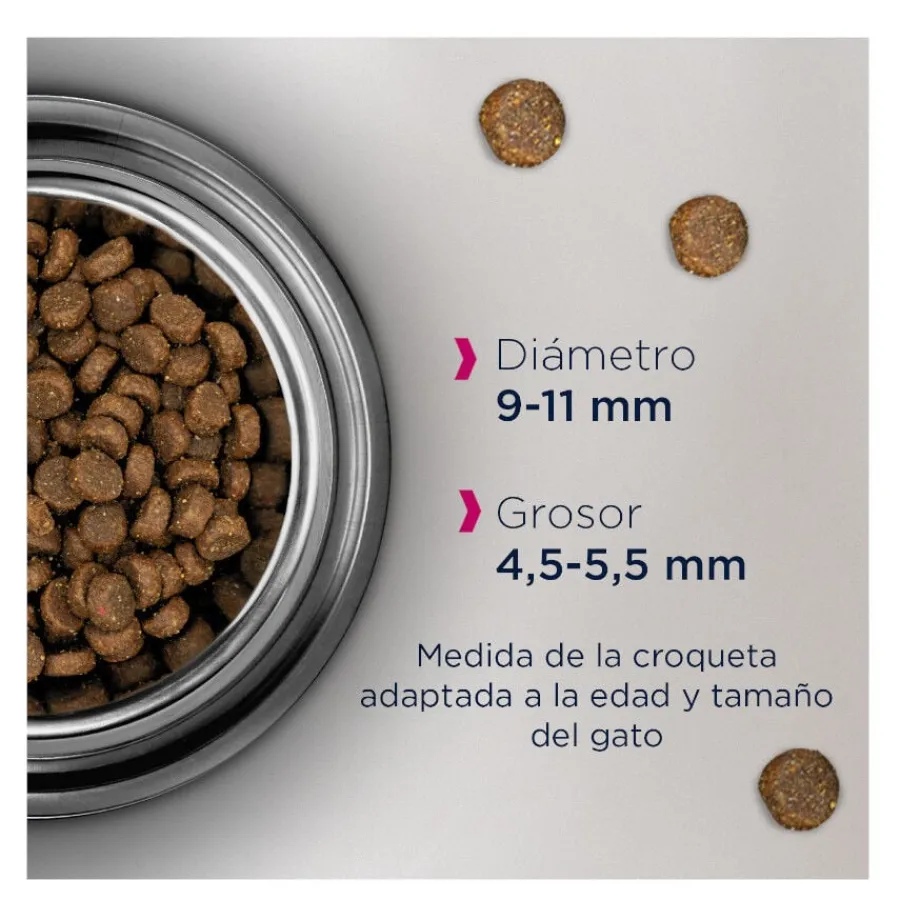 Eukanuba Adult Pollo pienso para gatos Best