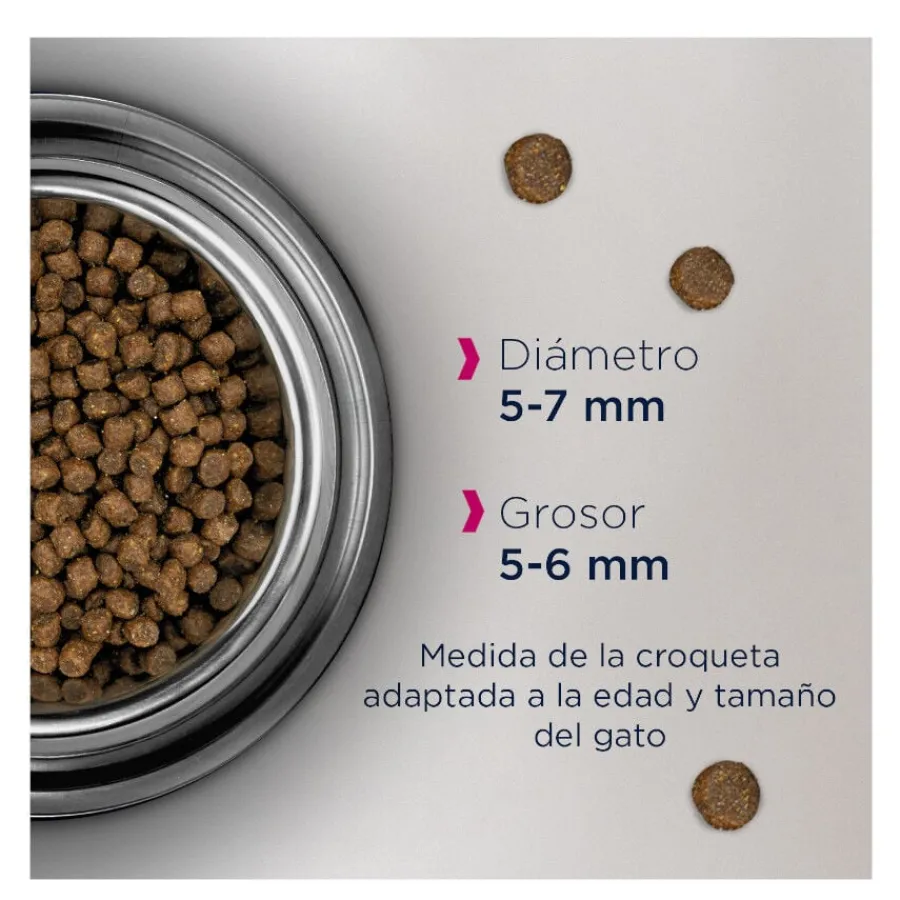 Eukanuba Kitten Pollo pienso para gatos Sale