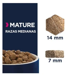 Eukanuba Mature&Senior Medium pienso para perros Discount