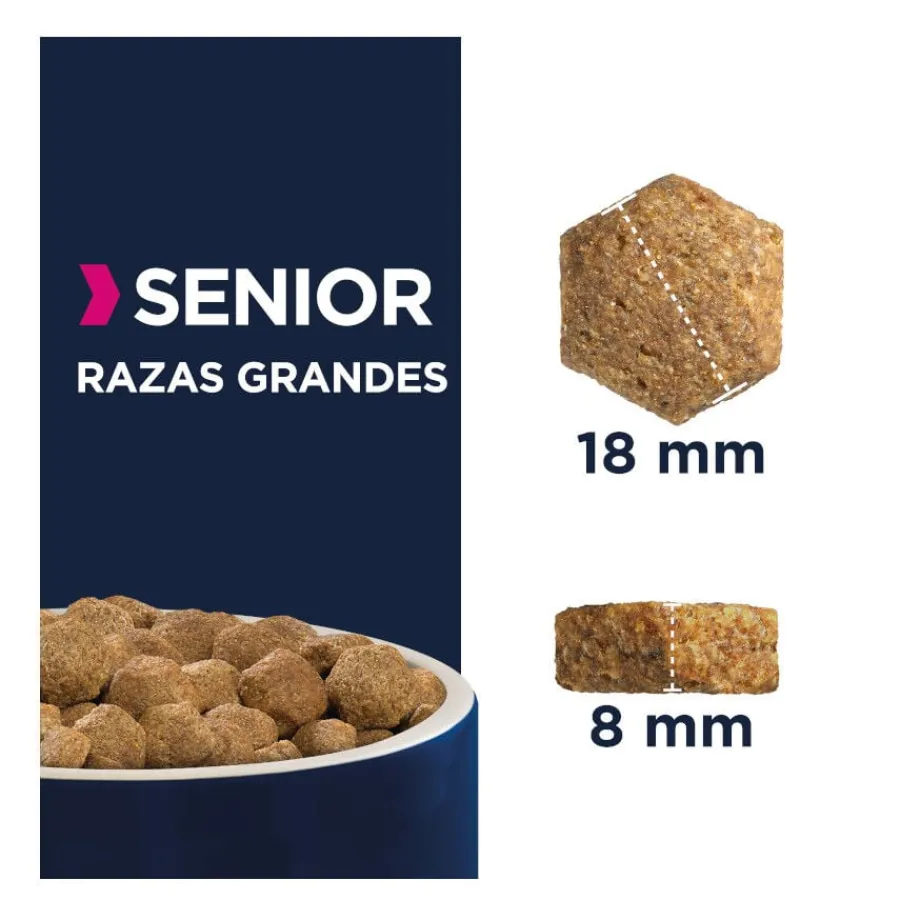 Eukanuba Senior Large Pollo pienso para perros Outlet