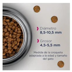 Eukanuba Senior Pollo pienso para gatos Sale