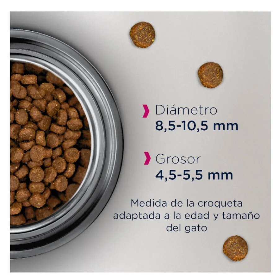 Eukanuba Senior Pollo pienso para gatos Sale