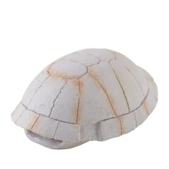 Exo Terra Caparazón de Tortuga Fósil decoración para terrarios Online
