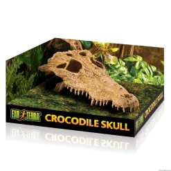 Exo Terra Cráneo de Cocodrilo Decoración para terrarios Discount