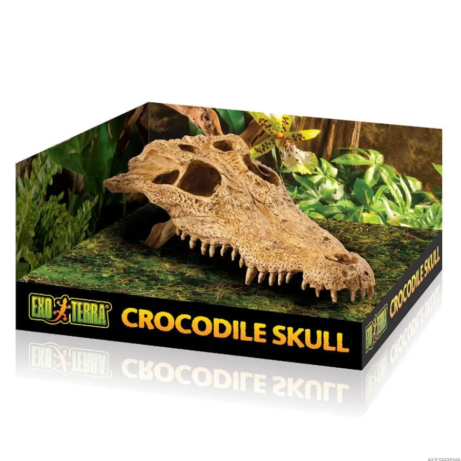 Exo Terra Cráneo de Cocodrilo Decoración para terrarios Discount