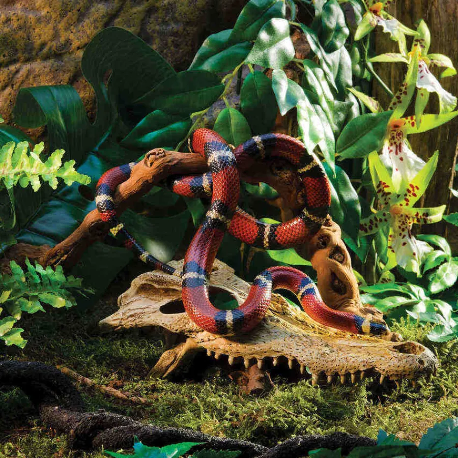 Exo Terra Cráneo de Cocodrilo Decoración para terrarios Discount